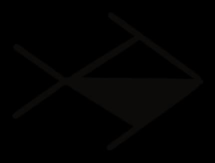 Schematic fish with a crossed tail and only the lower half of the body filled, drawing by Leo Martínez.