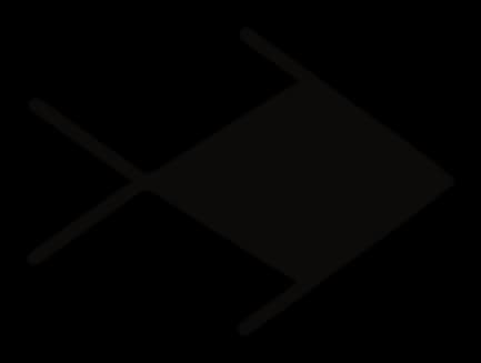 Schematic fish with a solid arrowhead body and a crossed tail, drawing by Leo Martínez.