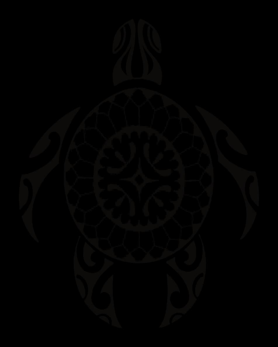 Turtle whose shell is a four-armed sun set inside a net pattern, drawing by Leo Martínez.