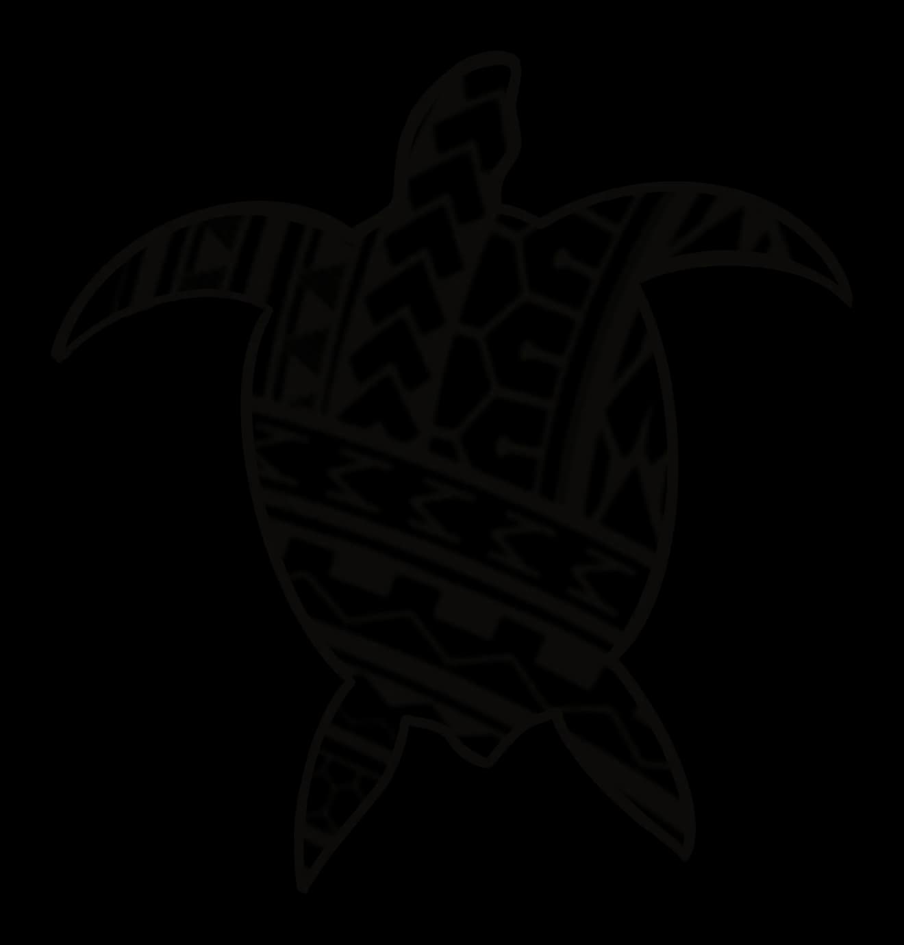 Large turtle with the shell filled with bands of chevrons, triangles and hexagons, drawing by Leo Martínez.