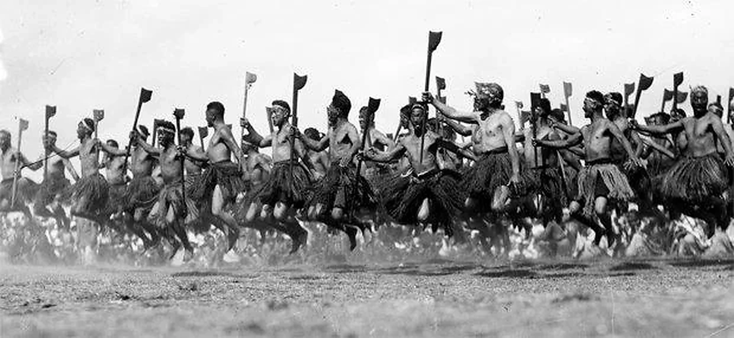 Row of Māori warriors performing a ceremonial haka with tewhatewha, archival photo from the early 20th century. Cultural reference chosen by Leonel Martínez for Koru Tatau, Maori and Polynesian tattoo studio in Granollers, Barcelona.