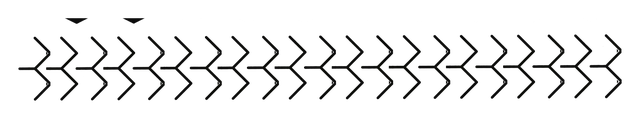 Chevron border derived from the bird figure, drawing by Leo Martínez.